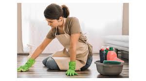 Cleaner and Maid Service