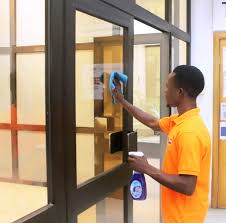 Cleaner and Maid Service