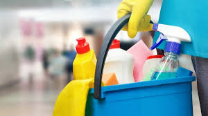 Cleaner and Maid Service
